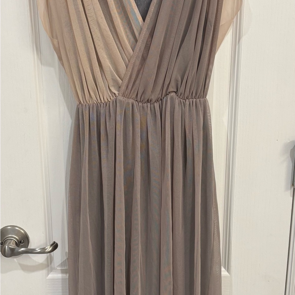 Zara Beige and Gray Mesh Dress